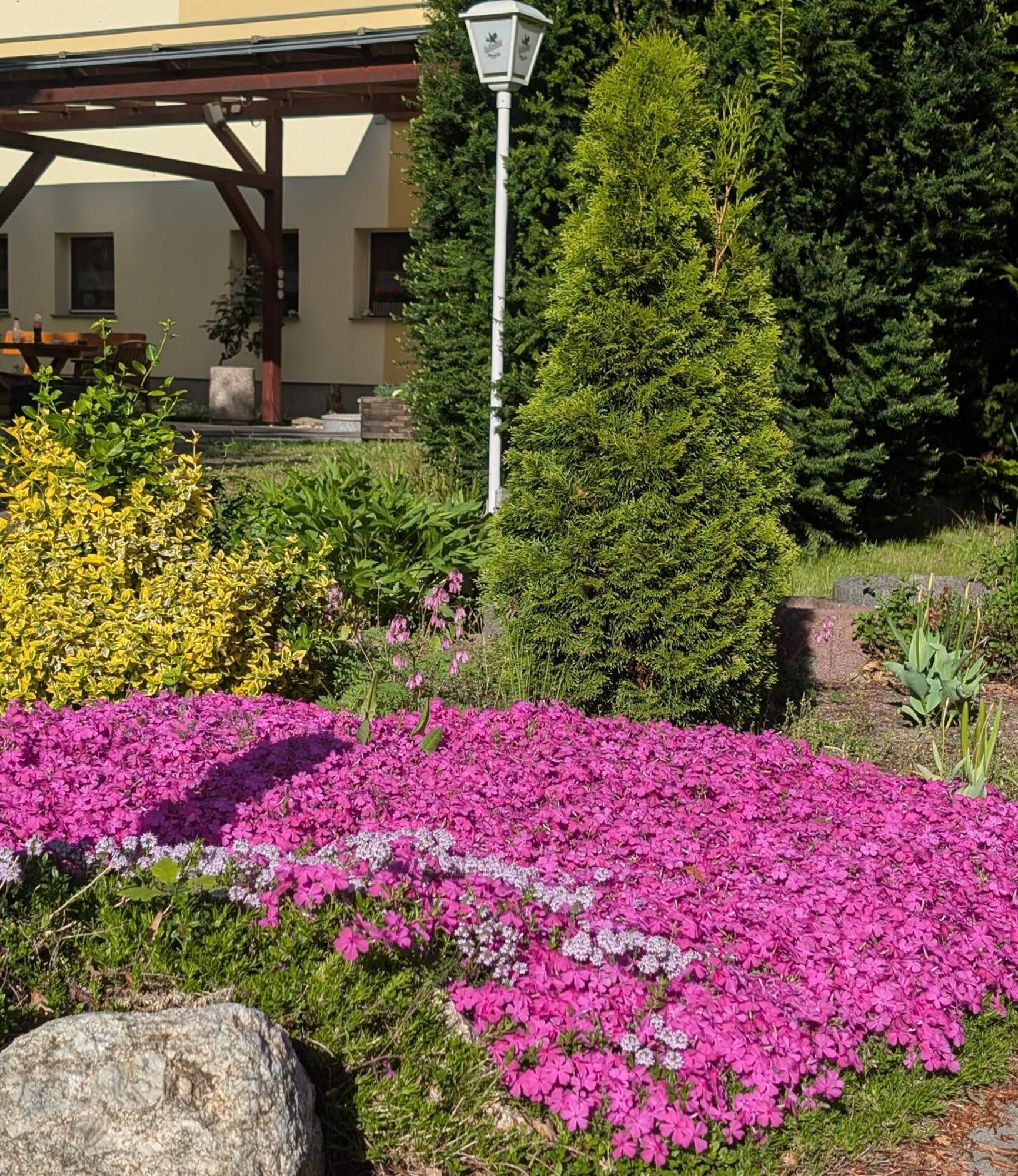 Pension Zum Reiterhof, Fewo 2 Schmogrow Kültér fotó